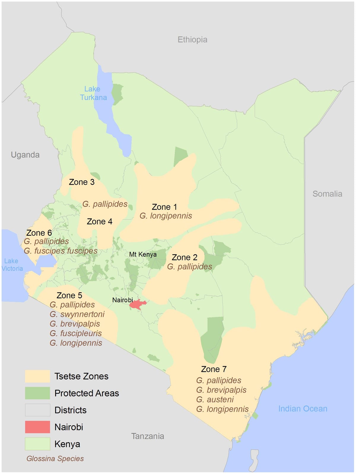 Kenya institutua inkesta eta kartografia kuota egitura