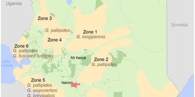 Kenya institutua inkesta eta kartografia kuota egitura